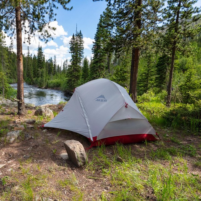 A tent in a backcountry campsite near a river