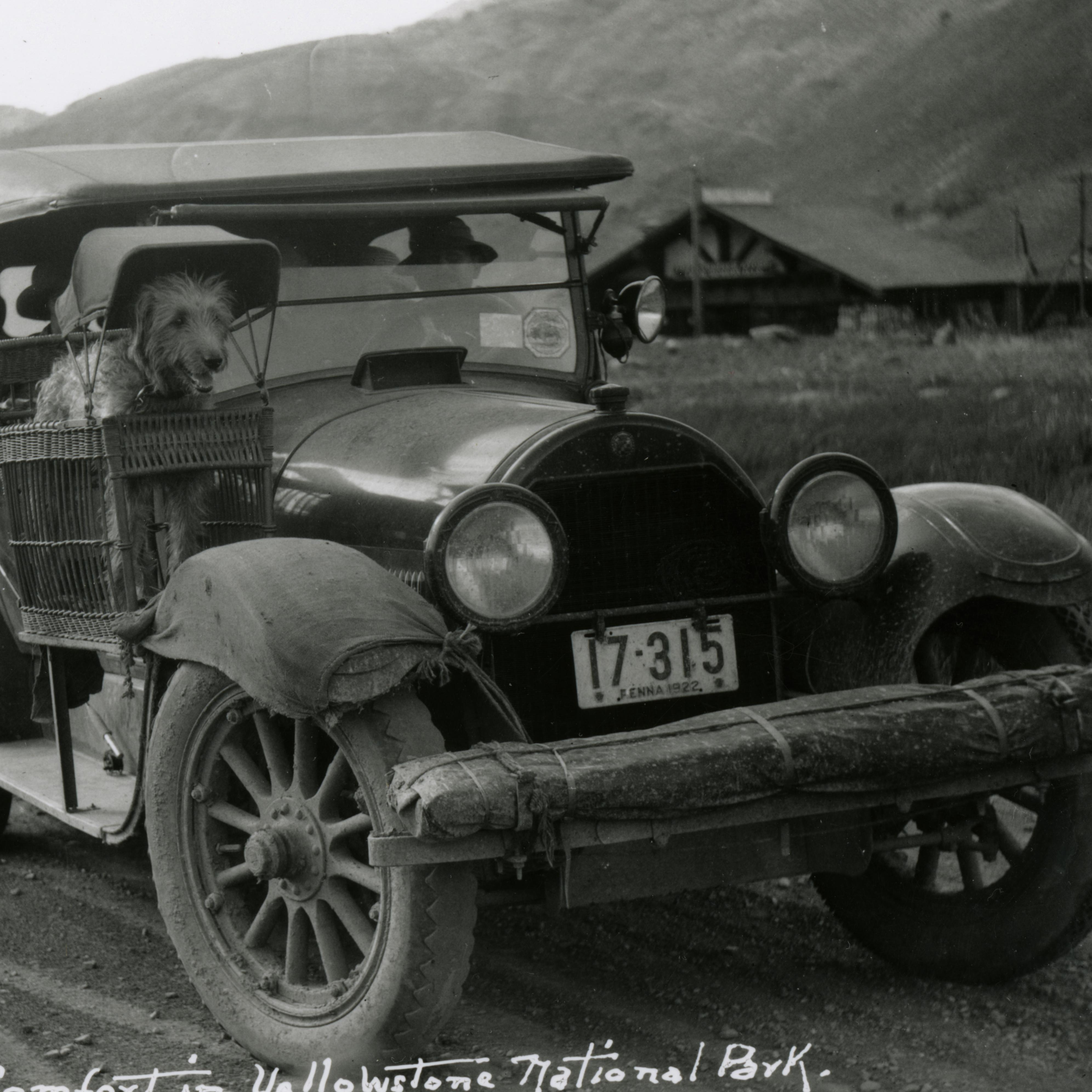 Modern Dog Comfort in Yellowstone National Park