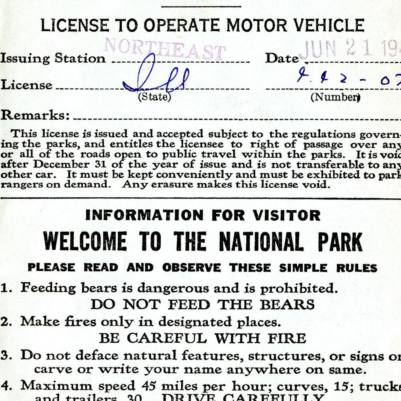 License to Operate Motor Vehicle