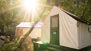 Sun shines through the trees behind a canvas-sided tent-cabin.
