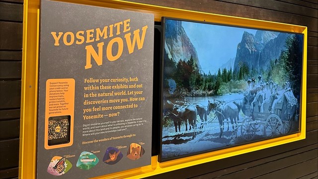 Yosemite Now sign as you enter the lobby of the Yosemite Exploration Center.