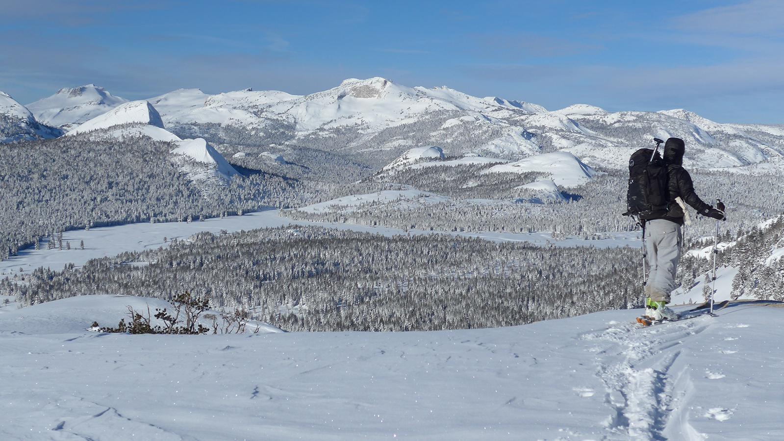 Winter ranger on skis in the Tuolumne Meadows area out on patrol