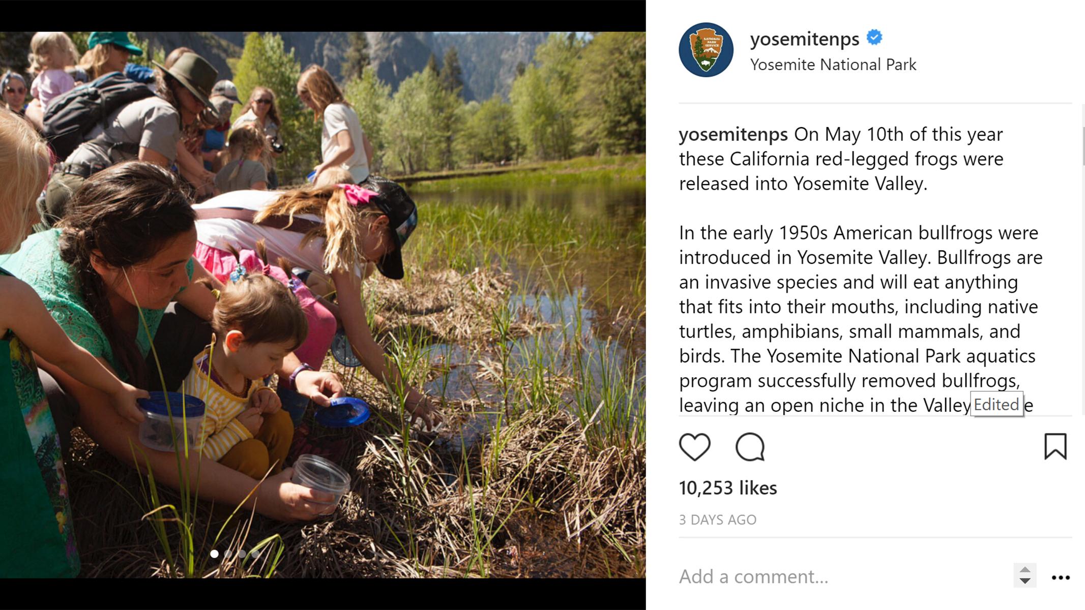 Image from our Instagram account of frogs being released. 