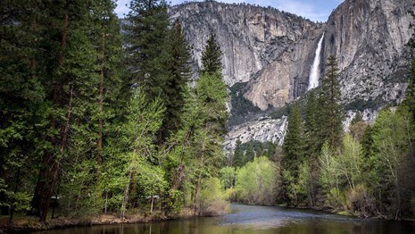 Yosemite Falls and a full Merced River 