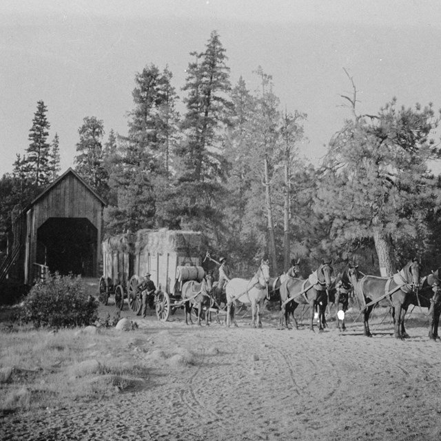 Image of covered bridge in Wawona with wagon piled with hay.