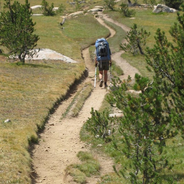 Backpacker walking along a braided trail