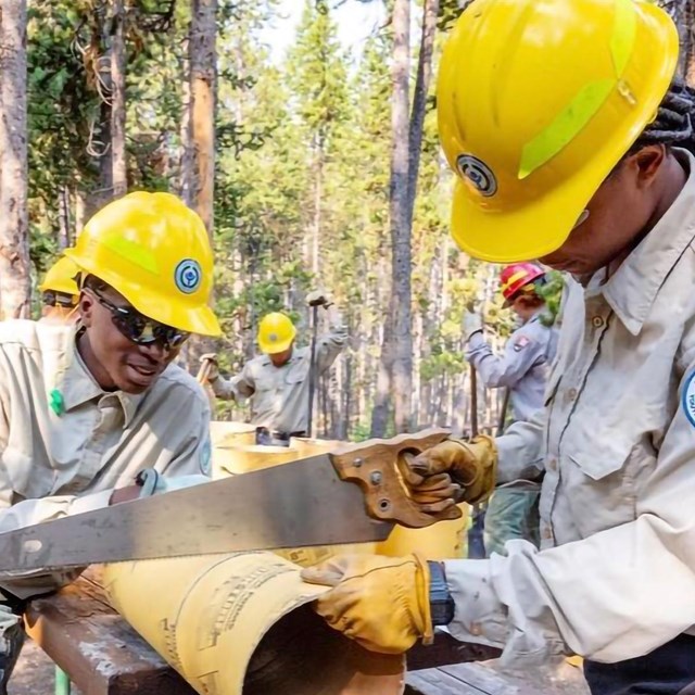 Two youth in yellow hard hats use a saw to cut a tubes