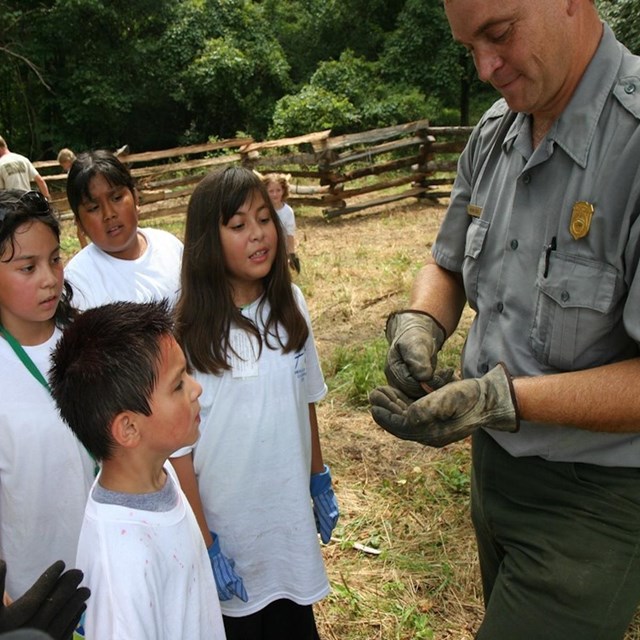 Four youth looking at a snake presented by a park ranger