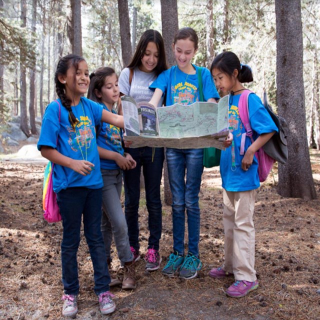 5 young females looking at a park in the woods