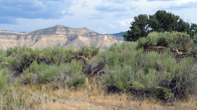 Desert shrubs cover ancient rubble mounds and a partial rebuilt stone wall with ranch land  behind