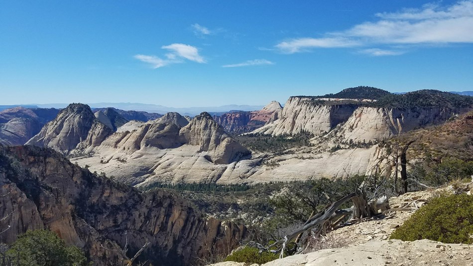 Backpacking Zion National Park (U.S. National Park Service)