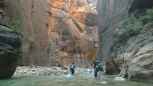 Two hikers walking in a river surrounded by tall cliffs.
