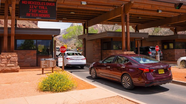 A small group of cars line up at Zion's South Entrance.
