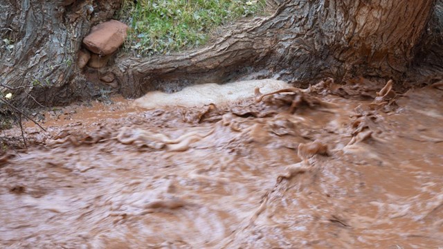 A torrent of brown water rushes down a creek.