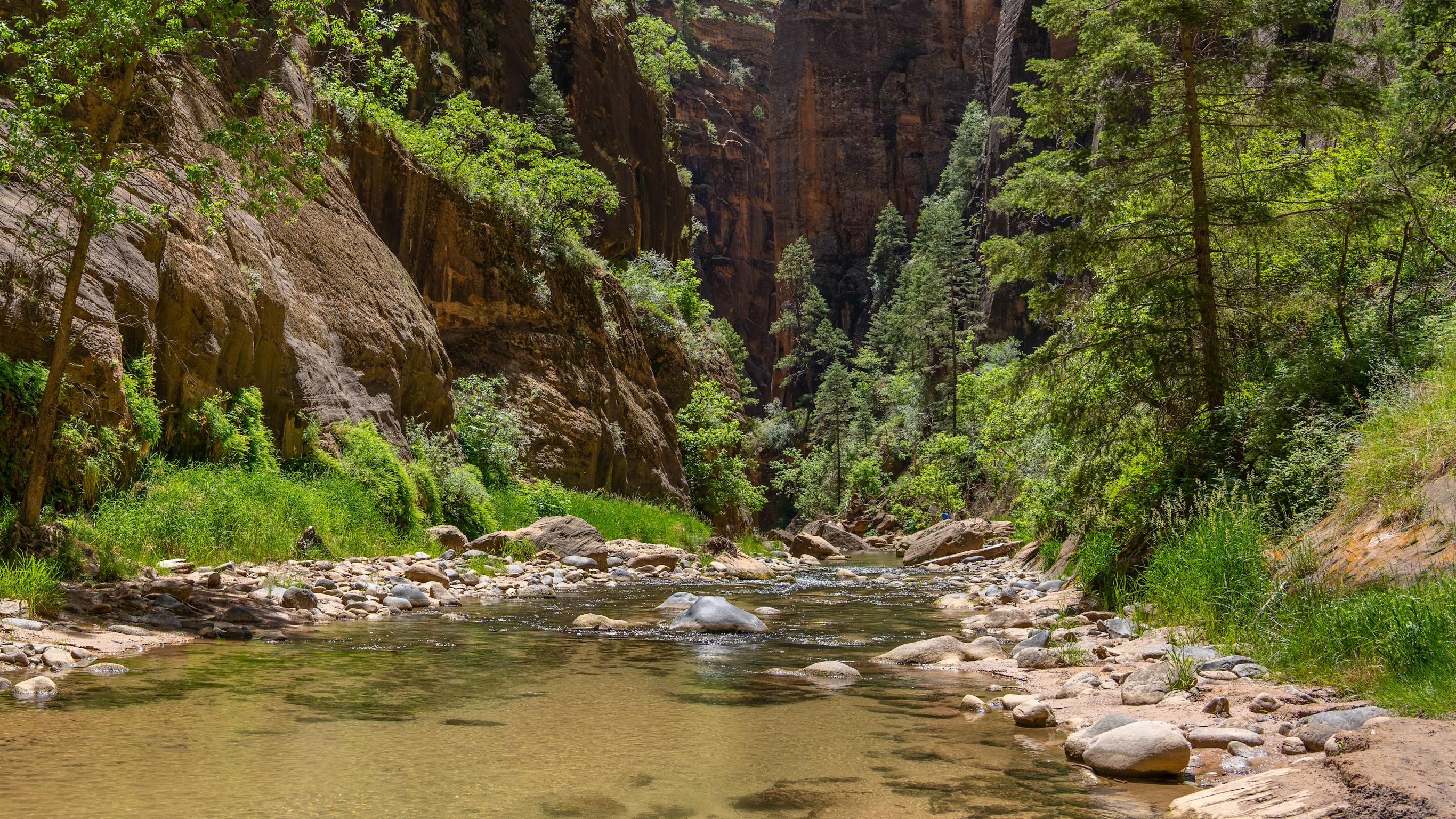 A shallow river flows across the rocky bottom of a narrow canyon.