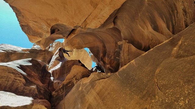 A person descends a narrow slot canyon using ropes.