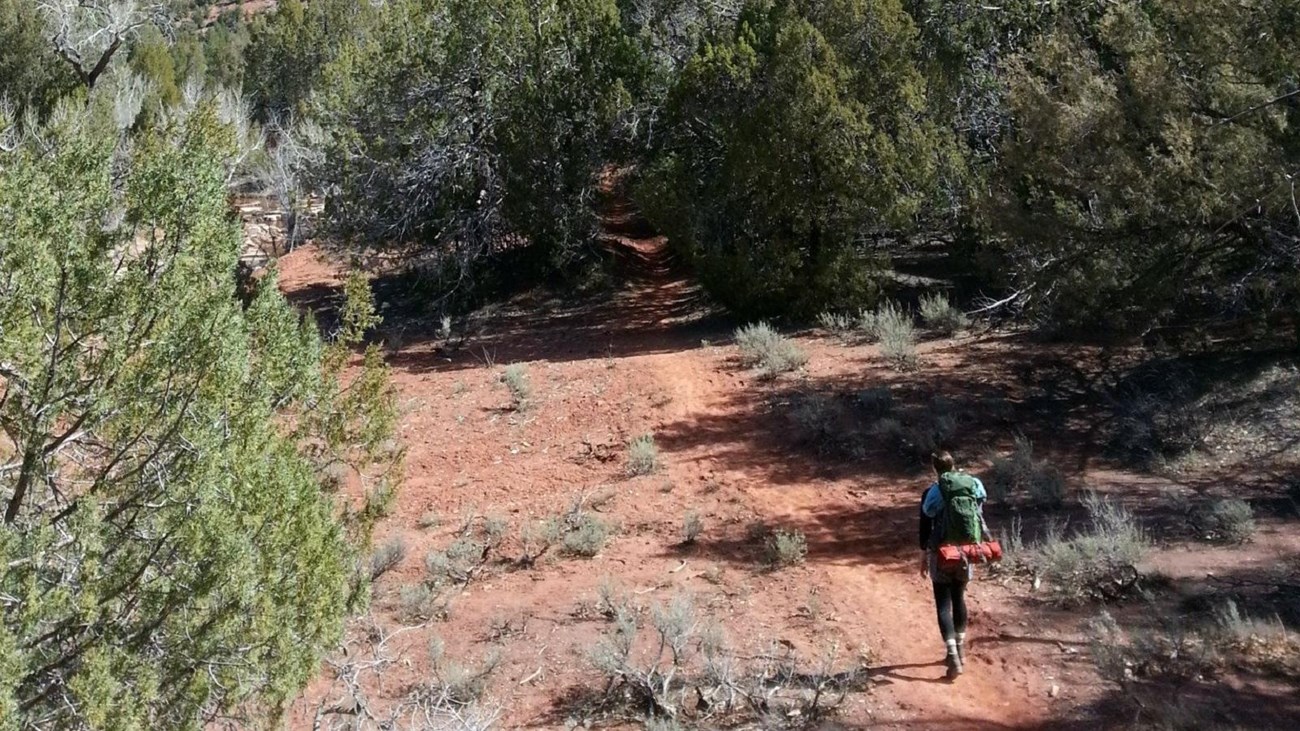 A hiker with a backpack walks along a trail.