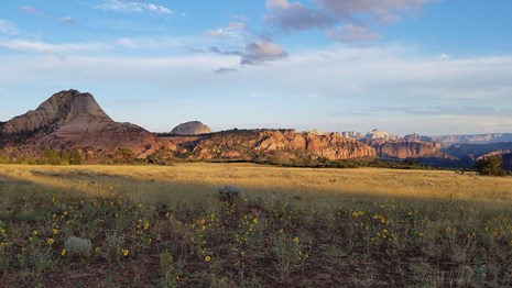 The sun lights sandstone peaks with tall grass in the foreground.