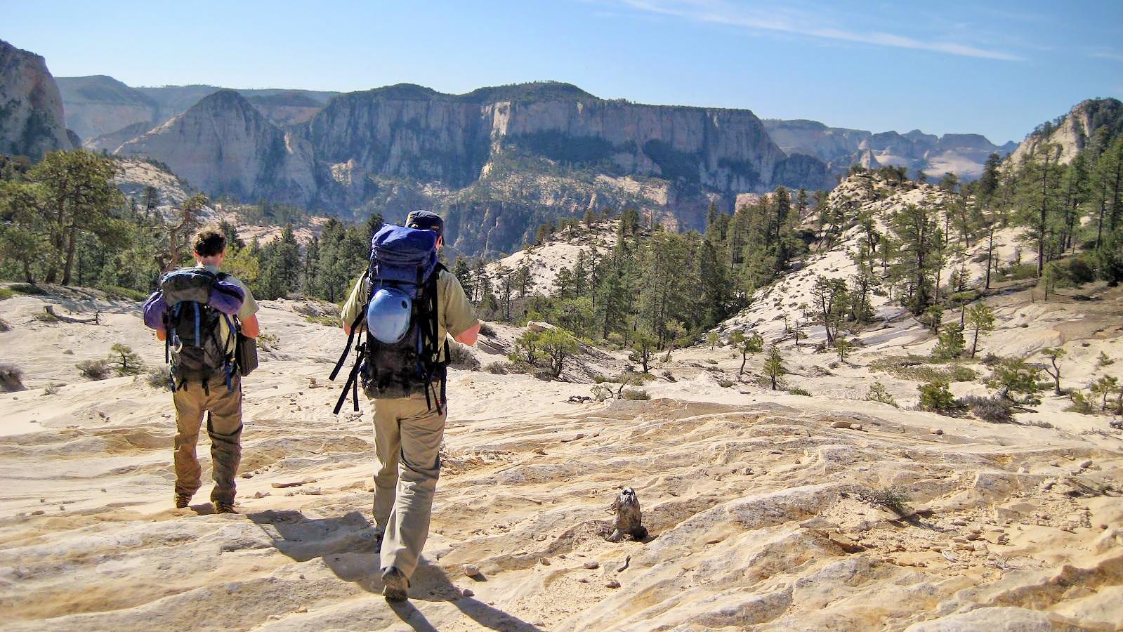 Two hikers walk across a wavy sandstone clearing. A canyon with many trees is in the background.