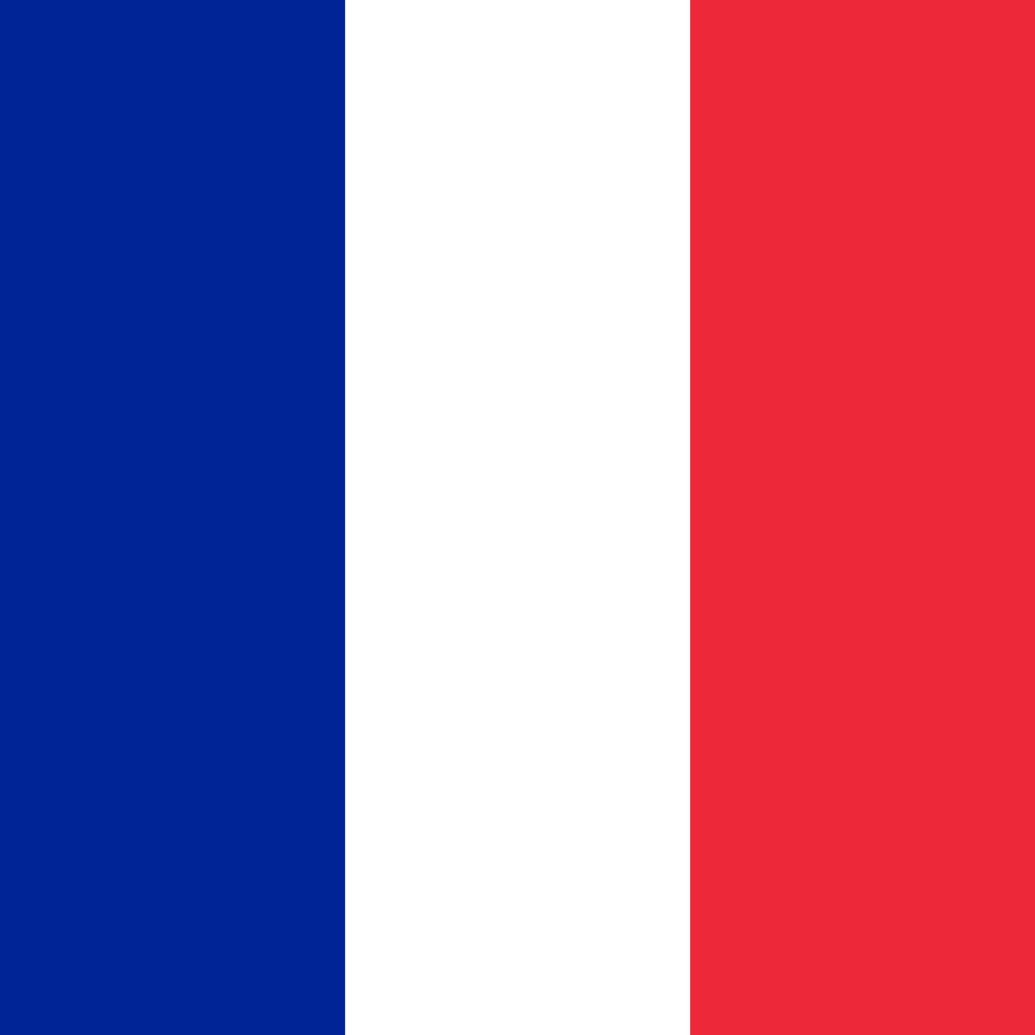 The French flag.