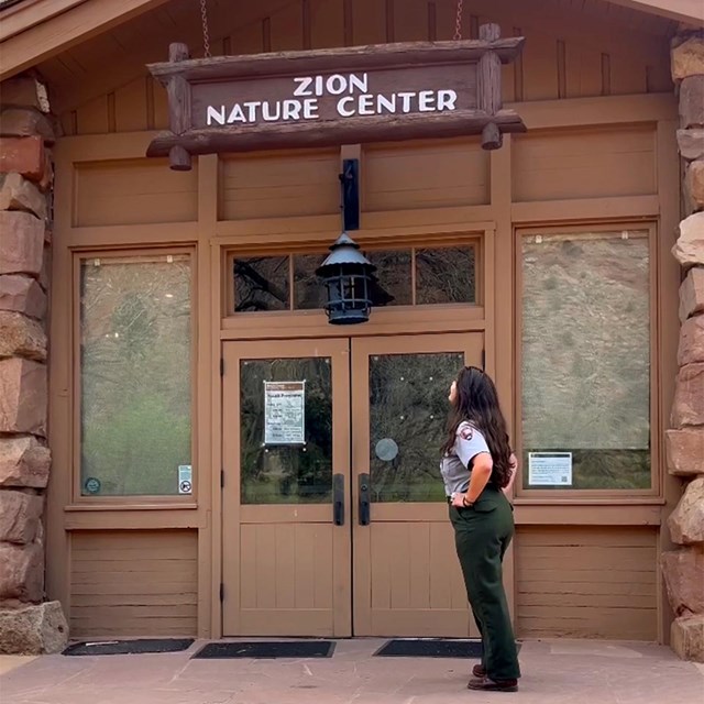 A ranger standing on stone steps looks up at a wood building.