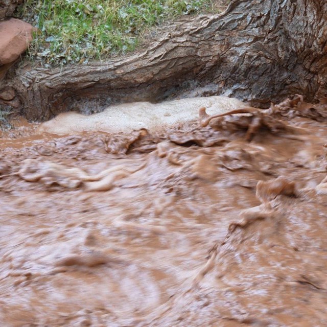 A torrent of brown water rushes down a creek.