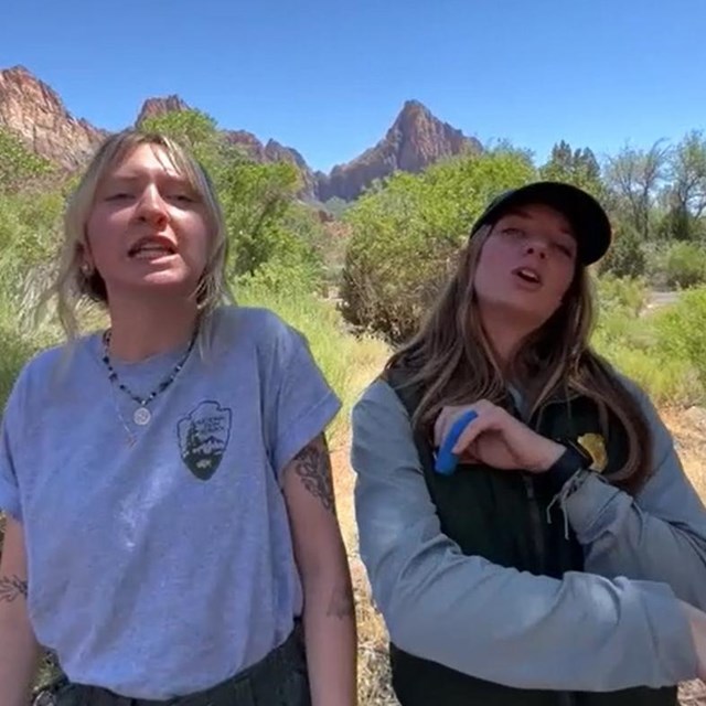 Two rangers animatedly talk to the camera. They stand before Zion's hot landscape.