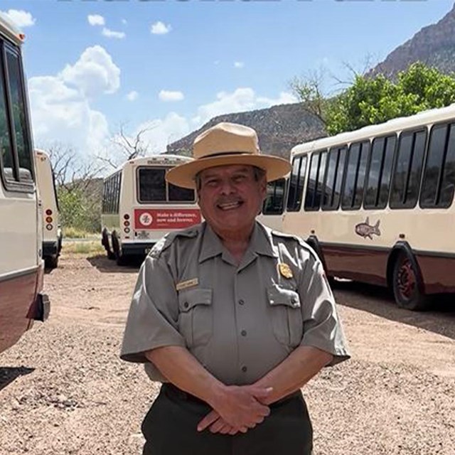 A ranger standing amongst buses on a sunny day