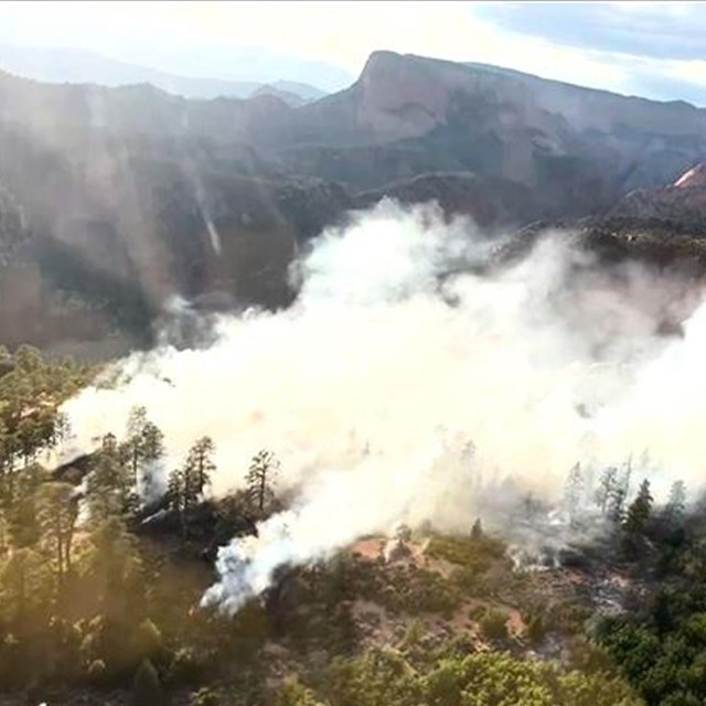 A large cloud of smoke coming off of trees and sandstone cliffs