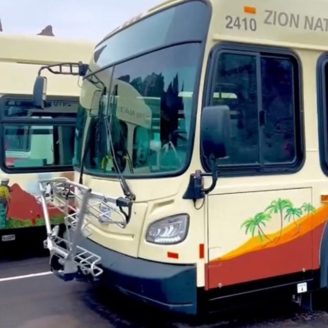 Wide, tan buses sit parked in a lot. They have desert scenes of red sandstone painted on the side.