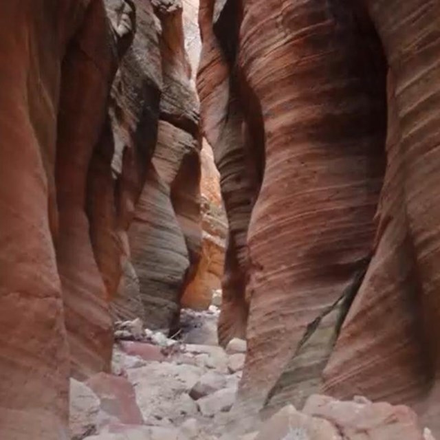 A narrow canyon of reddish, layered sandstone lets in a sliver of light through its opening.