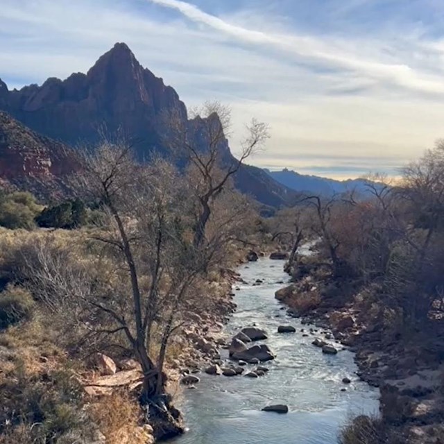 The Virgin rivers runs through a landscape of leafless vegetation sandstone mountains.