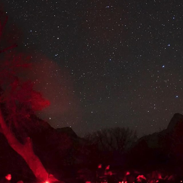 A dark, night sky with millions of stars. Red lights faintly light trees in the foreground.