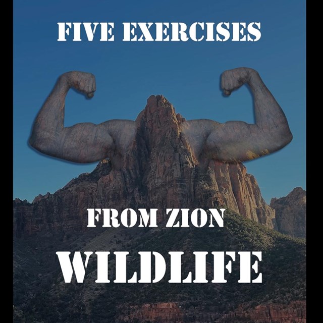 Two biceps with the text, 