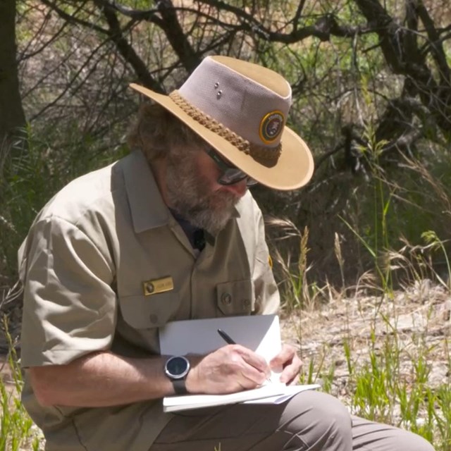 A poet sits on a downed tree in a green, shrubby forest. He looks down as he writes in a notebook.