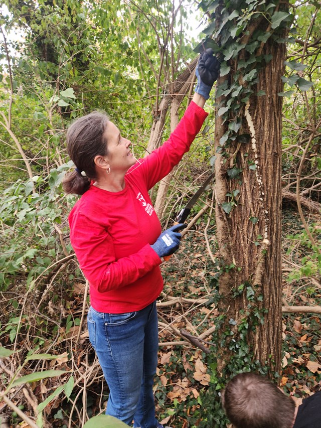 Women cutting down vines in the woods. 