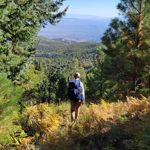 A figure walks down a fern-covered slope high in a mounatin, with a view of a hilly valley out before them.