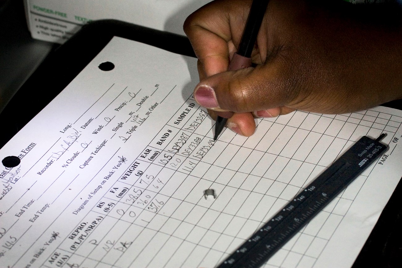 Close-up of a person's hand as they fill in a paper data sheet with a pencil.