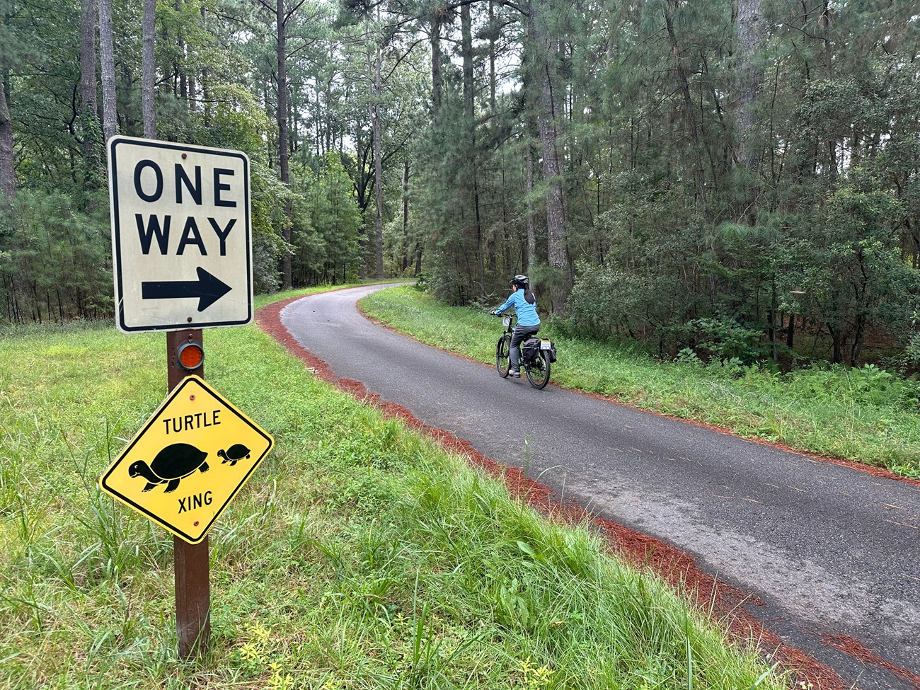A bicyclist rides on a narrow paved road past a 