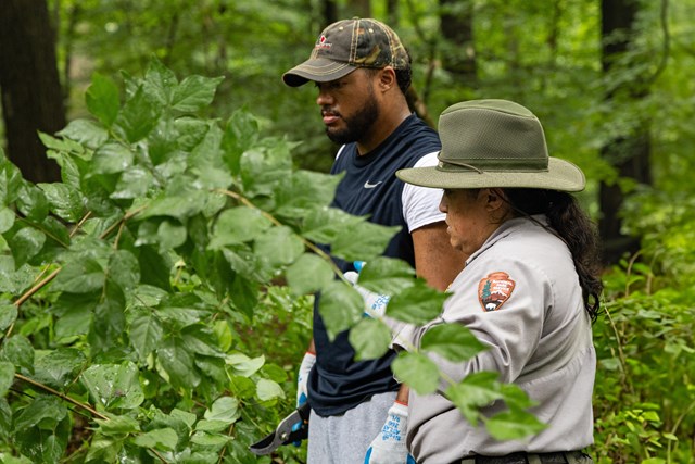 A park ranger points out an invasive plant along a trail.