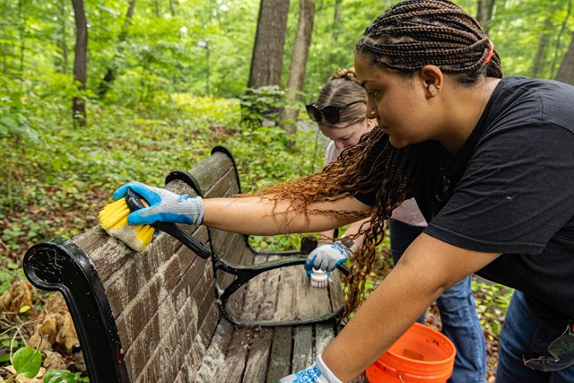 Two women use soap, water and sponges to scrub a park bench in the woods.