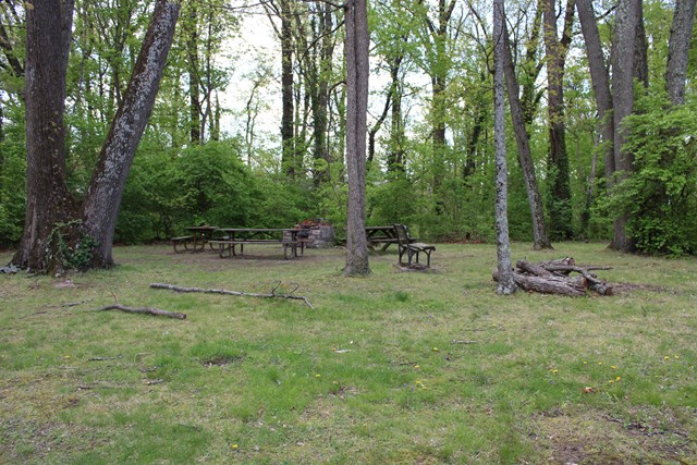 a grassy area backs up to a wooded area with a few picnic tables and a stone firepit for grilling