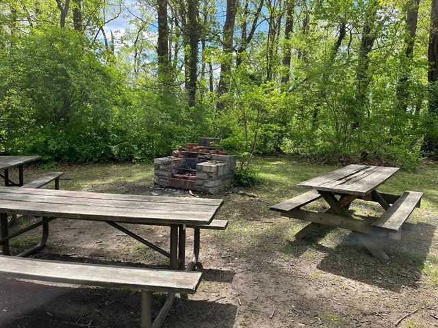 closer up view of the picnic tables and stone firepit for grilling near a forested area