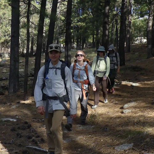 A line of field crew members hike through a forest, smiling.