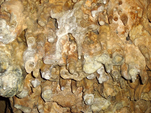 soda straws and stalactite formations in cave