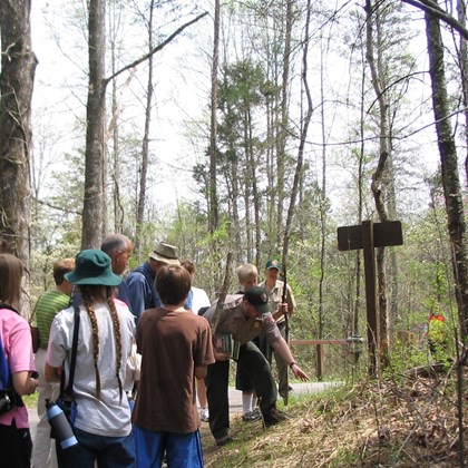 Visitors in the woods listening to a male park ranger talk. 