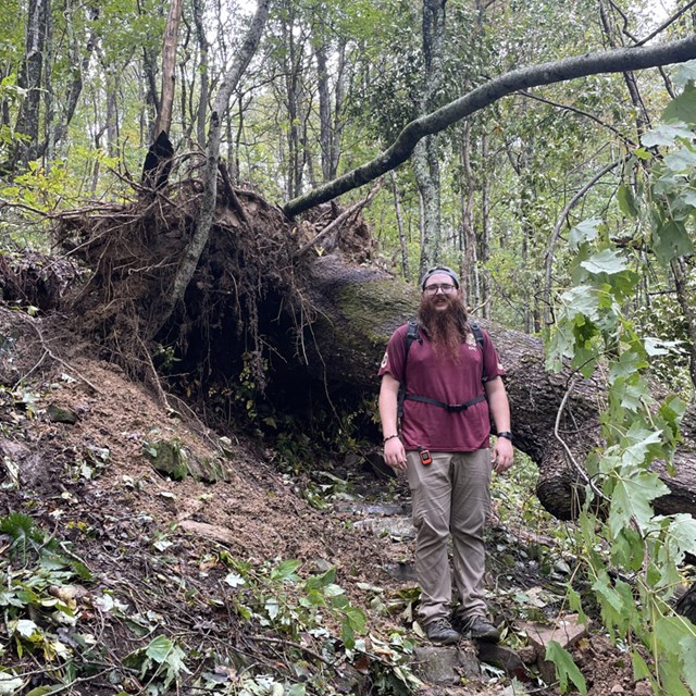 White Rocks Connector trail with a tree down. A male standing next to the large root ball. 