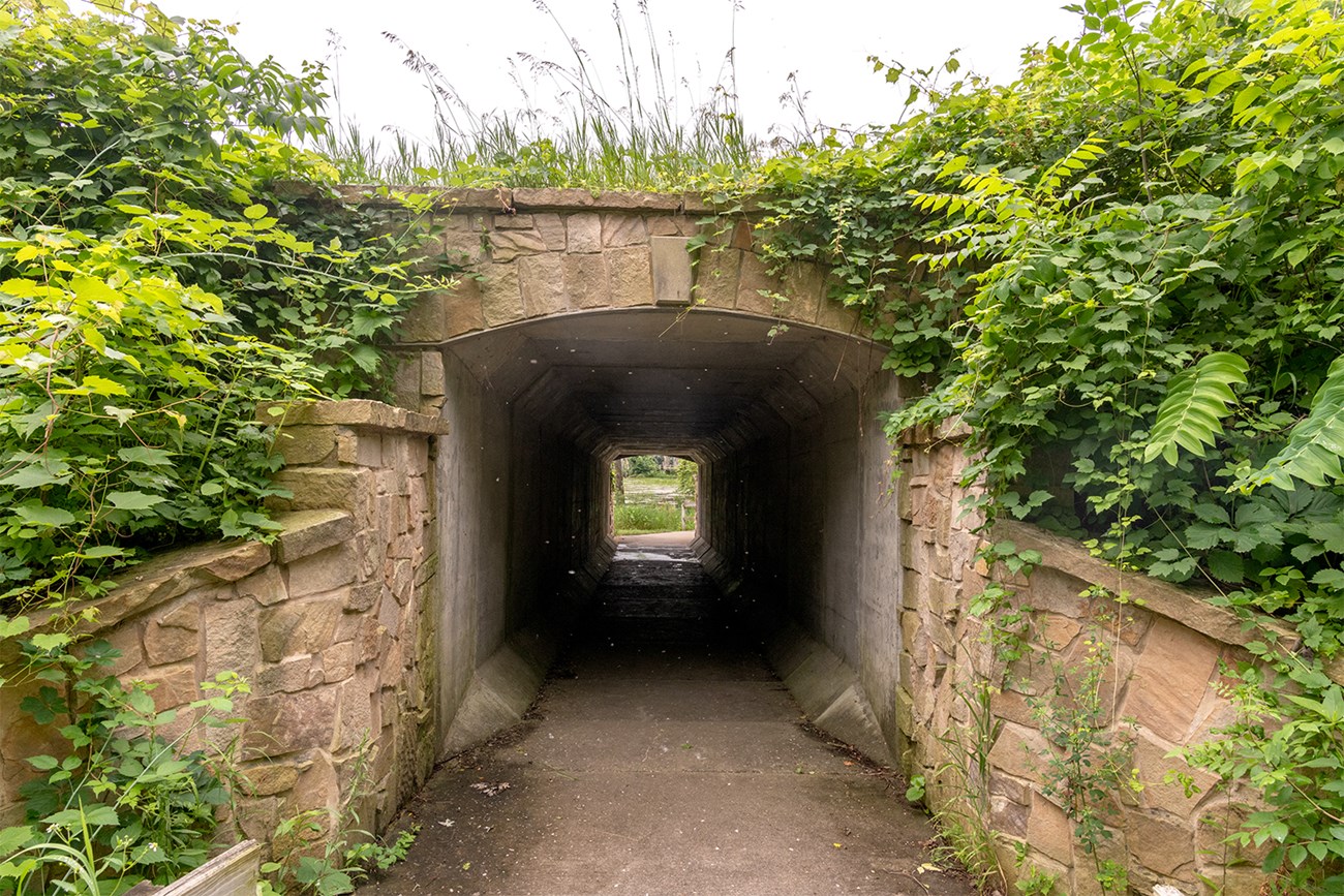 A tunnel going under a road with vegetation on either side.