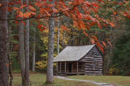 A log cabin sits in a open area amongst trees that are displaying fall foliage.