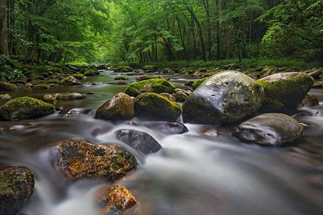 A flowing river with trees and rocks.